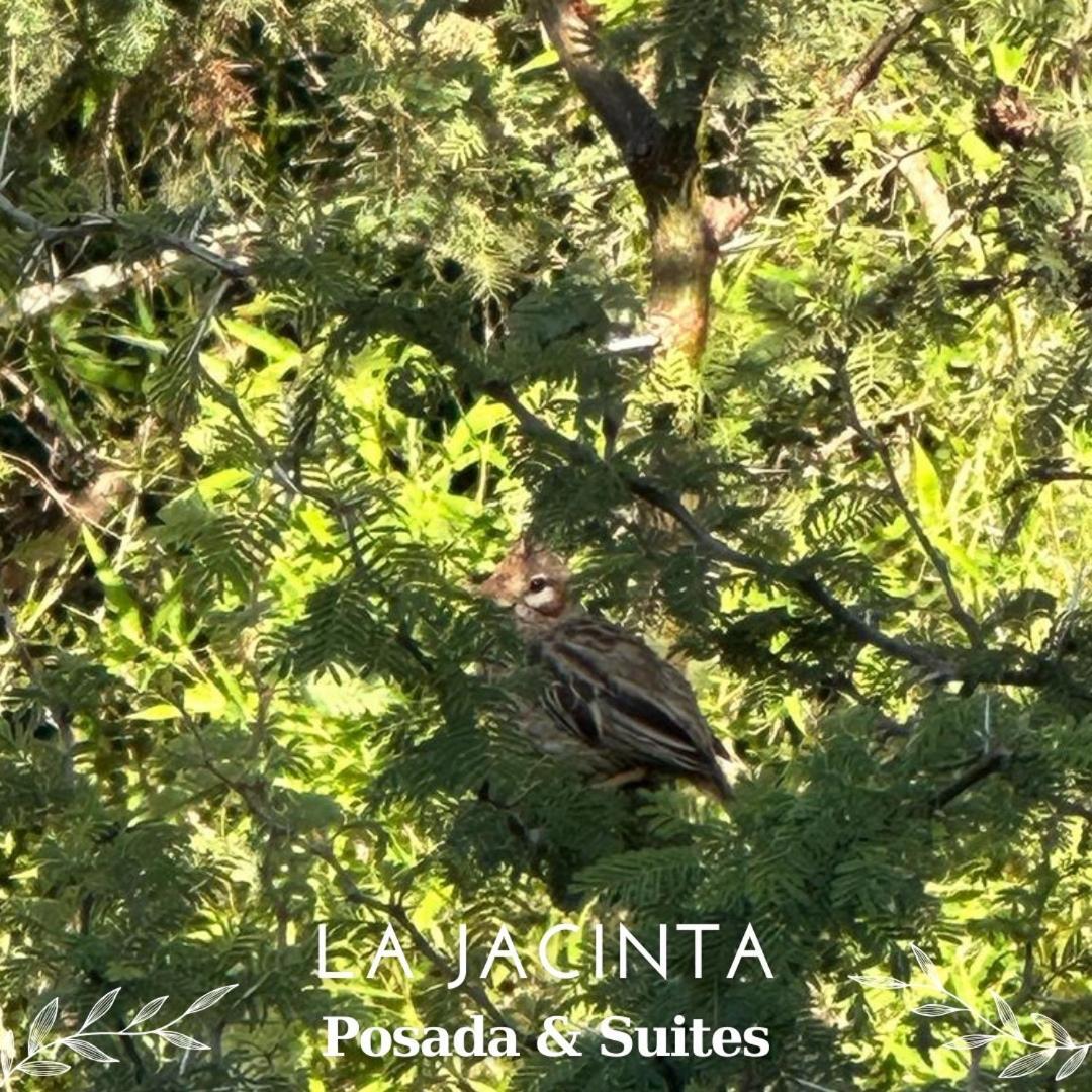La Jacinta Posada Suites Santa Rosa de Calamuchita Buitenkant foto